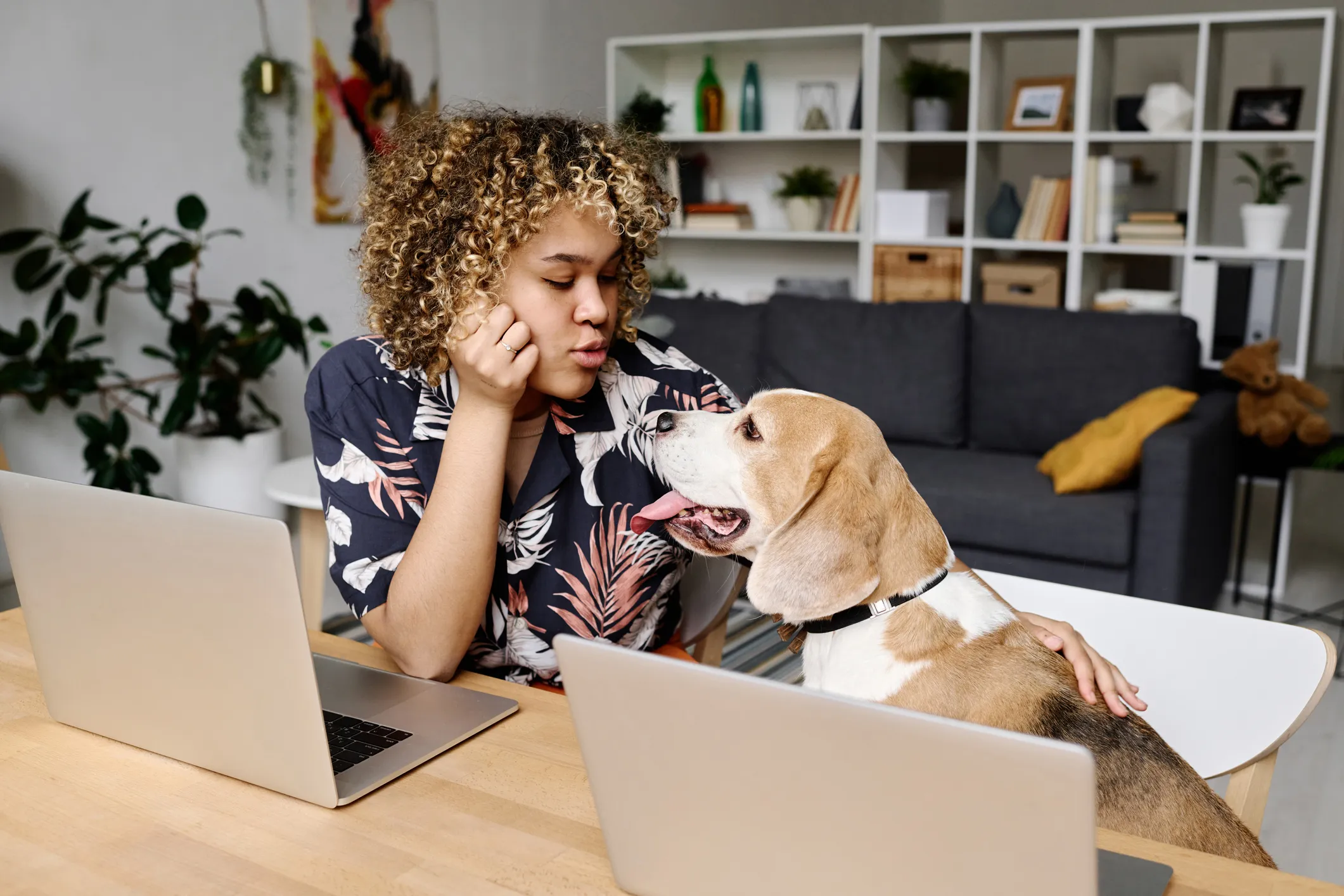 Apartemen Pet Friendly di Jakarta: Pilihan Tepat untuk Pencinta Hewan Peliharaan